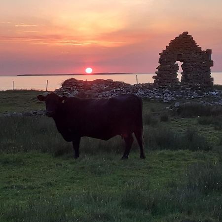 Beezies Self Catering Cottages Grange  Eksteriør billede