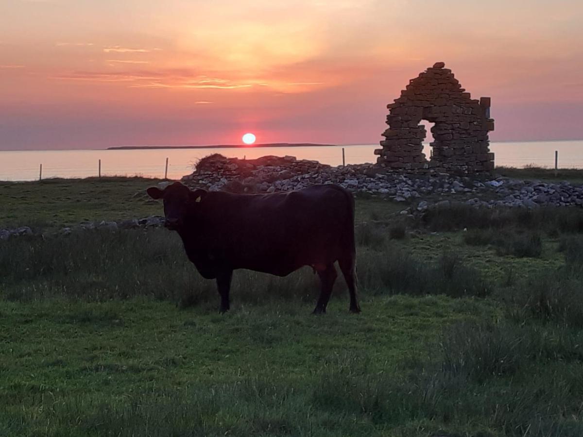 Beezies Self Catering Cottages Grange  Eksteriør billede