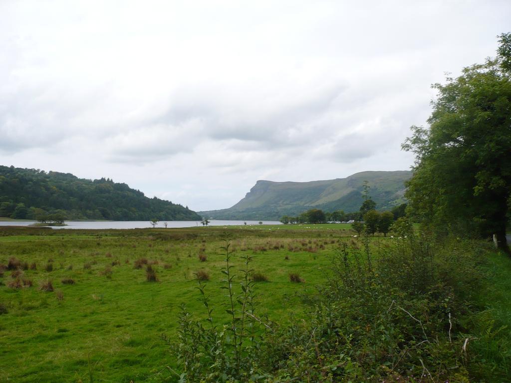 Beezies Self Catering Cottages Grange  Eksteriør billede